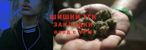 эйфоретик Арсеньев